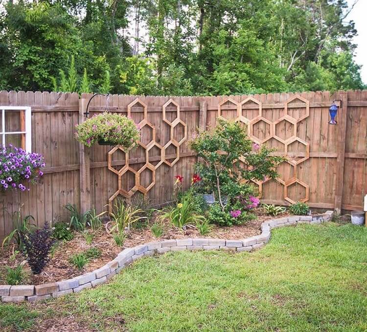 support mural pour plantes grimpantes design hexagonal décoratif