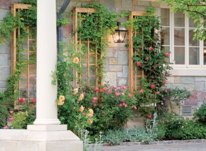 treillis en bois offrent un support pour les plantes grimpantes