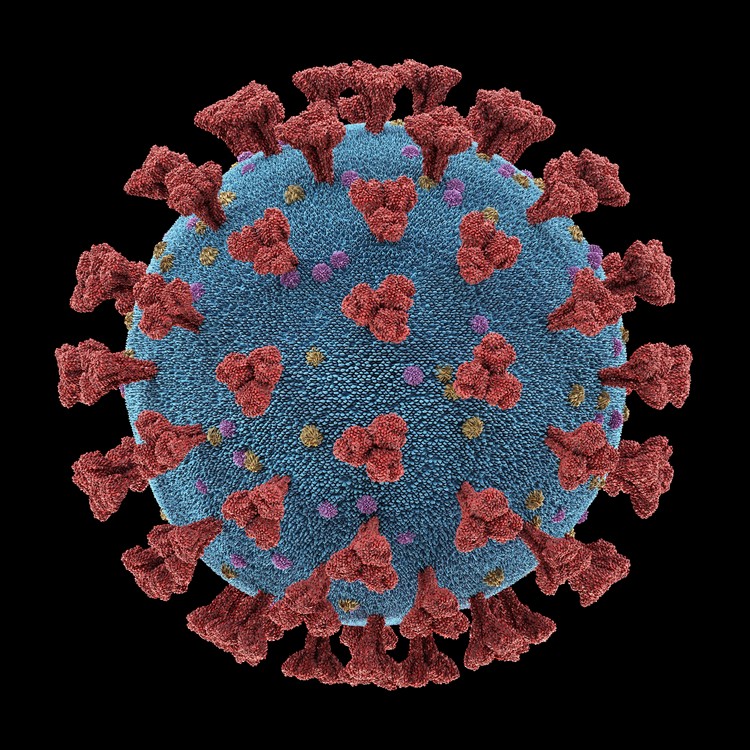 vaccin Janssen Johnson&Johnson immunité huit mois protection variant Delta du coronavirus