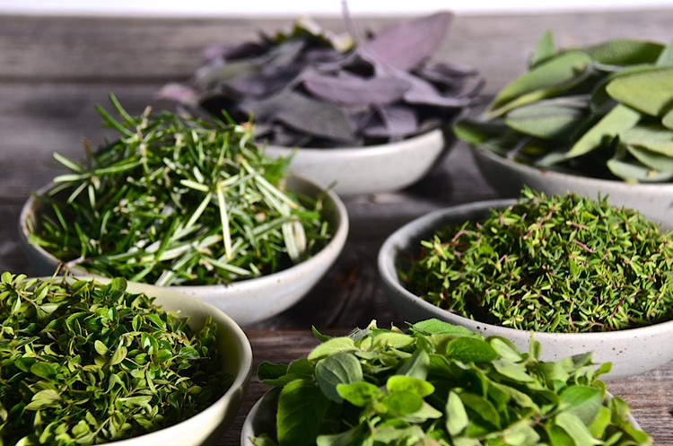  6 méthodes expliquant comment conserver des herbes fraîches au frigo, au congélateur ou en les séchant