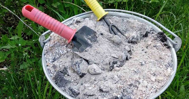 cendres de bois pour augmenter taux de potassium et de phosphore dans le sol