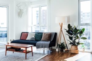 comment bien entretenir le ficus elastica arbre caoutchouc en appartement