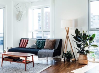 comment bien entretenir le ficus elastica arbre caoutchouc en appartement