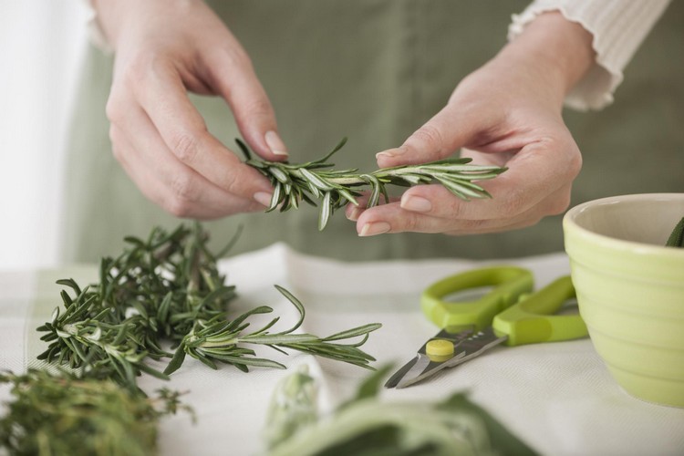 comment conserver des herbes aromatiques fraîchement coupées séchées