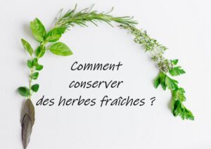 comment conserver des herbes fraîches au congélateur frigo séchant
