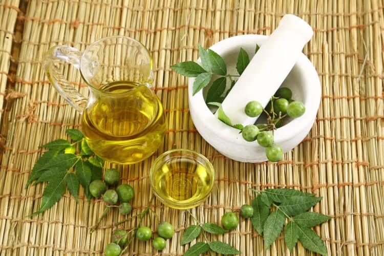 comment enlever les pucerons sur les plantes huile neem produit maison efficace