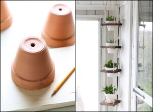 comment faire sa propre suspension extérieur plantes grasses