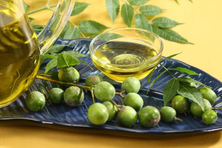 comment éliminer des chenilles vertes huile de neem