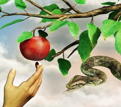 comment éloigner les serpents de son jardin utiliser moyens naturels