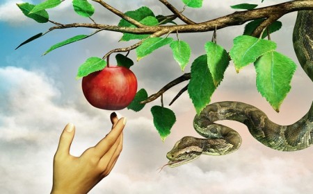 comment éloigner les serpents de son jardin utiliser moyens naturels
