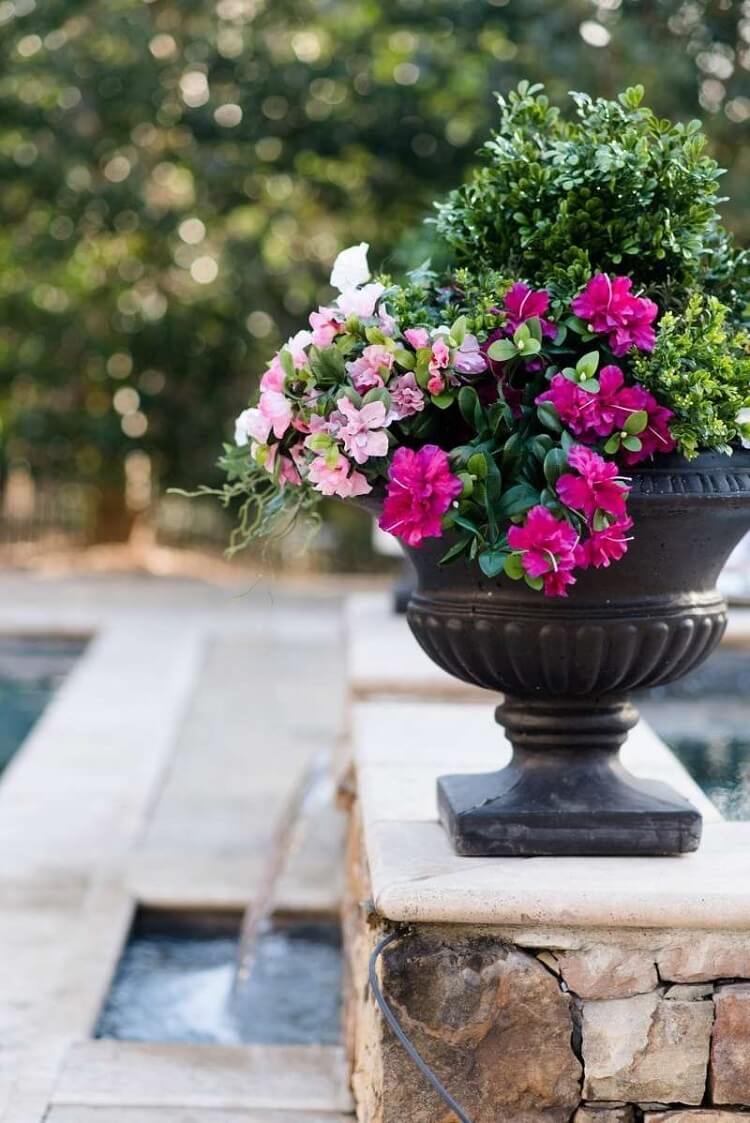 composition florale pour sublimer l'espace autour votre piscine