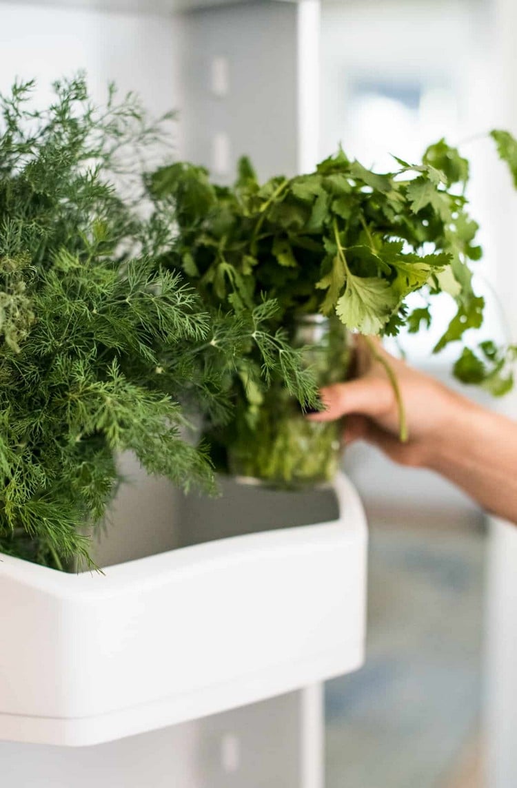 conserver les herbes aromatiques au frigo dans eau quelques jours
