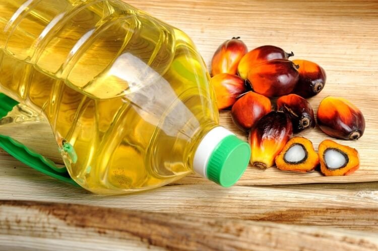 consommation huile de palme effets santé