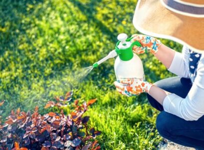 herbicide naturel fait maison recettes efficaces et écologiques