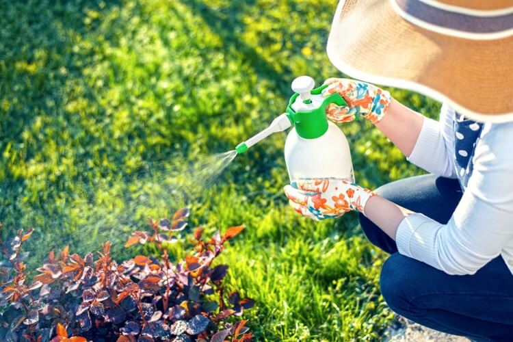 herbicide naturel fait maison recettes efficaces et écologiques
