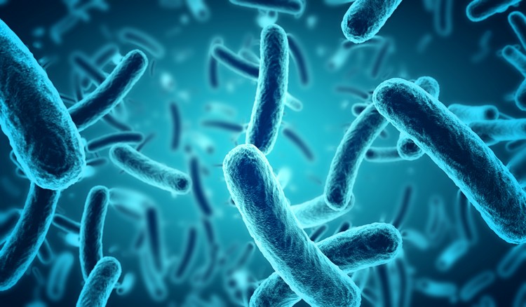 jeûne thérapeutique protection contre Salmonella intoxication alimentaire infections bactériennes intestinales nouvelle étude