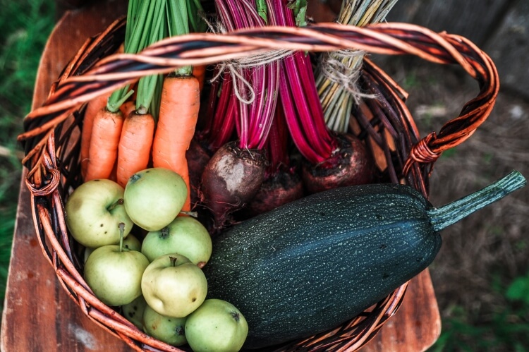 légumes à planter en septembre faire pousser carottes toute année
