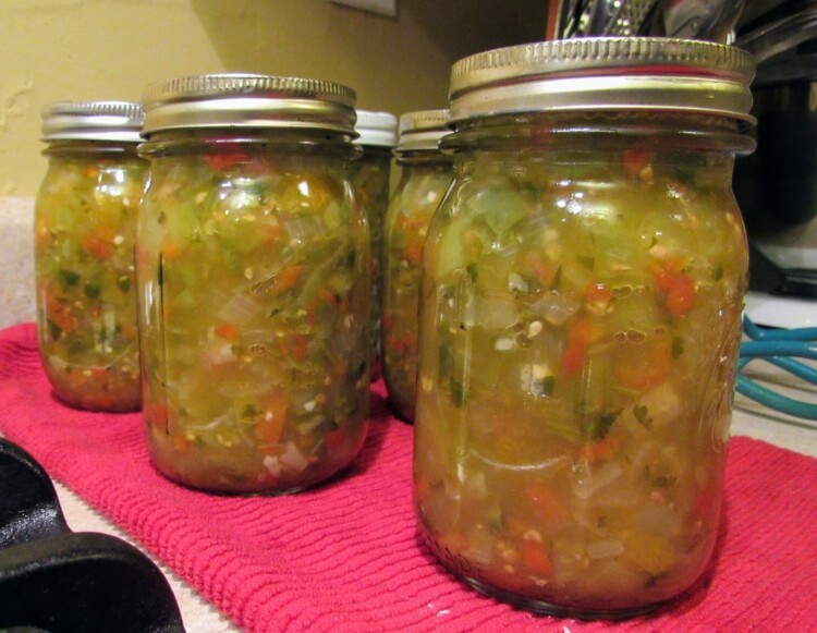 que faire avec des tomates vertes en fin saison stériliser bocaux conserver salsa