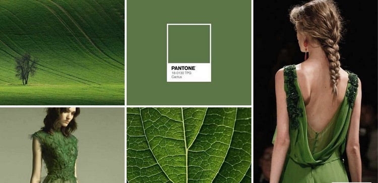 tendances couleurs automne hiver 2021 2022 vert cactus Pantone