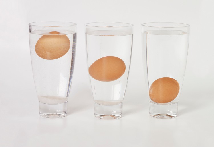 tips like knowing if an egg is good or not immerse the water