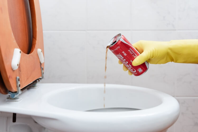 comment déboucher des toilettes film alimentaire débouchage application pratique coca cola