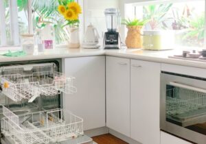 comment nettoyer un lave-vaisselle très sale attention objets pointus tuyaux haute pression