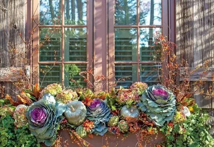 composition d'automne avec chou d'ornement citrouilles rebord fenetre extérieur