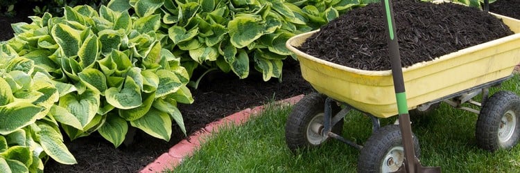 compost organique paillis jardin protection engrais 2 en 1
