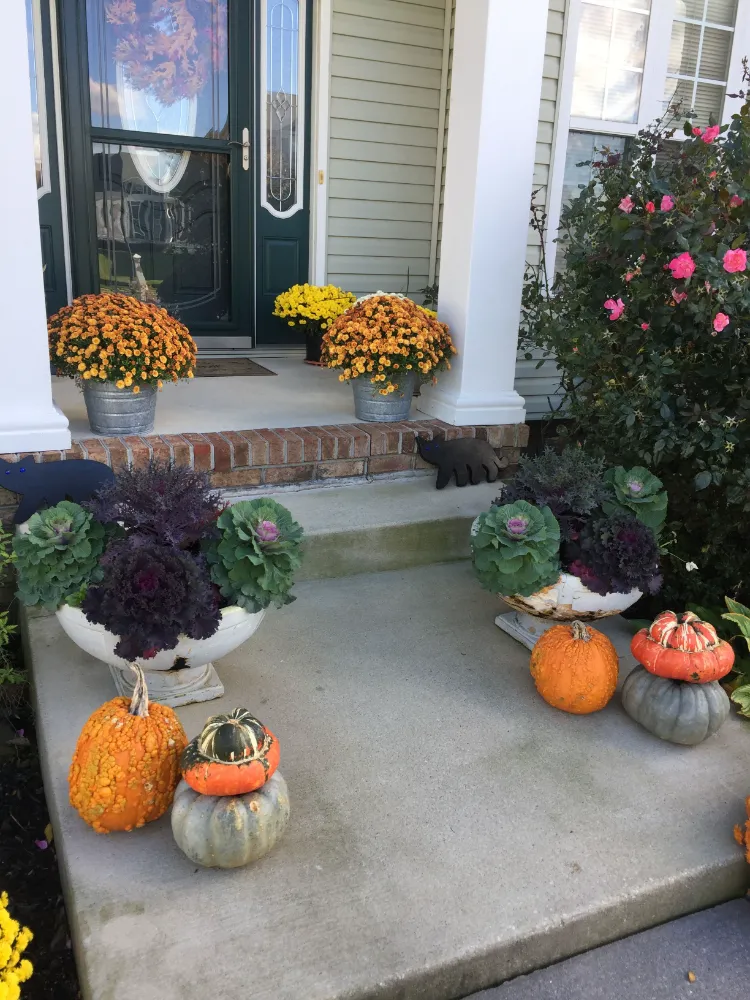 déco maison extérieur composition d'automne avec chou d'ornement citrouilles