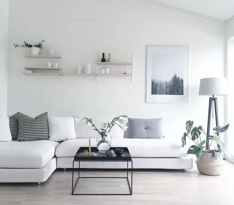 deco scandinave salon