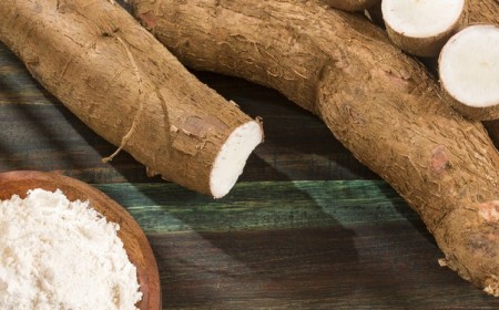 farine de tapioca c est quoi valeur nutritive bienfaits