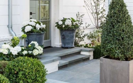 gros pot de fleurs extérieur en zinc et en ciment avec pétunias blancs et conifères