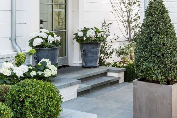 gros pot de fleurs extérieur en zinc et en ciment avec pétunias blancs et conifères