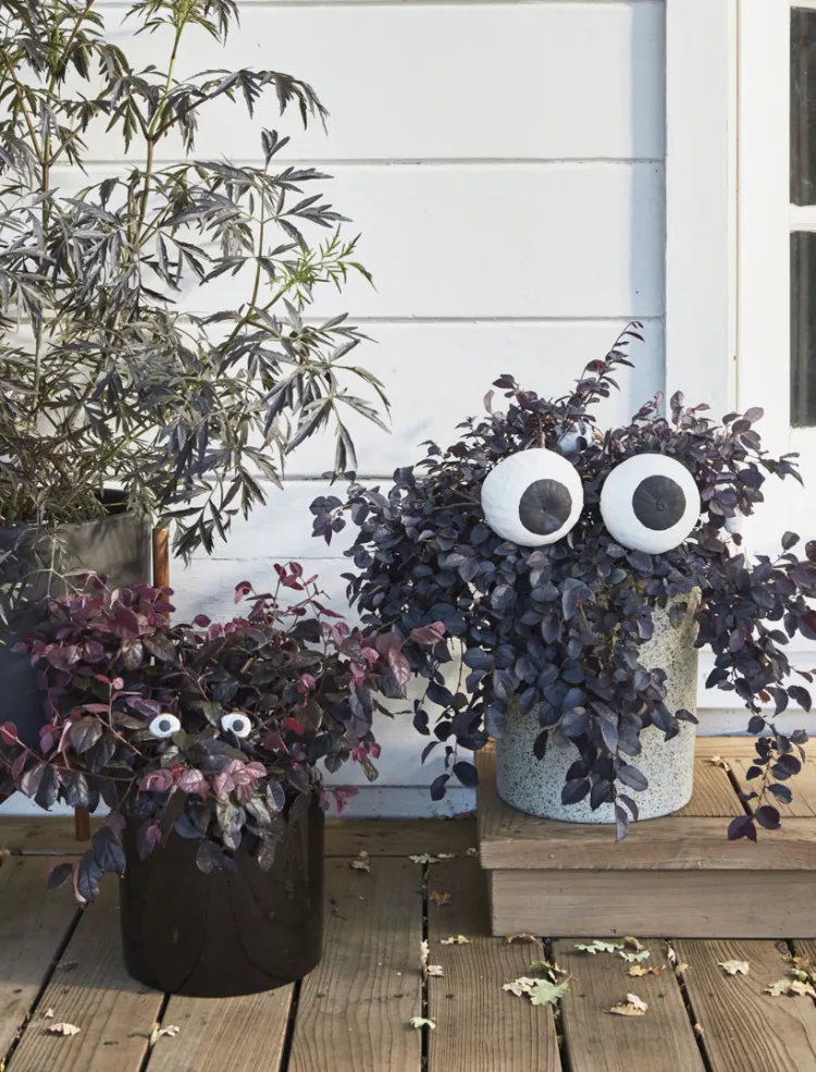 idee deco halloween exterieur pour le porche jardinières d'automne décorés yeux mobiles projet diy facile