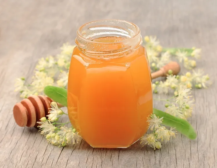 miel de tilleul chercher production certifiée marché