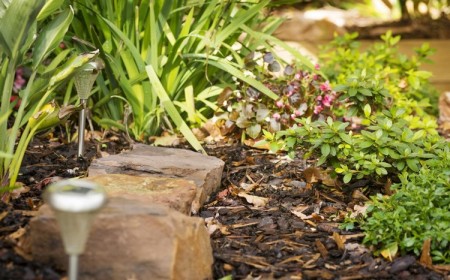 quel paillage de jardin choisir avantages inconvénients