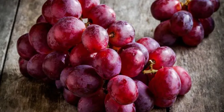 régime alimentaire automne cure de raisin perte de poids efficace