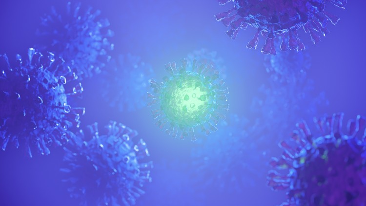 réponse immunitaire plus forte immunité croisée Covid-19 coronavirus du rhume nouvelle étude