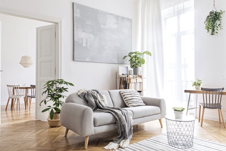 salon scandinave cocooning canapé gris nordique meubles en bois déco plantes vertes
