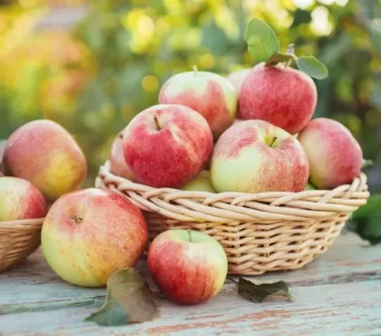 snacks sains à privilégier en automne manger des pommes rester en bonne santé