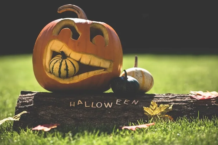 Idée déco Halloween faite maison – 5 projets DIY faciles qui vous plongeront dans l’ambiance de 31 octobre