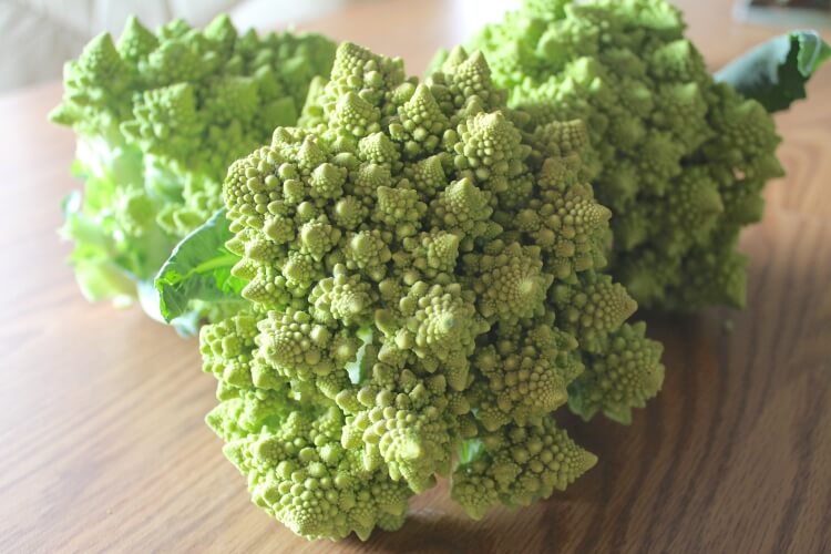 chou romanesco recette fleur légume plante curieuse goût noisette