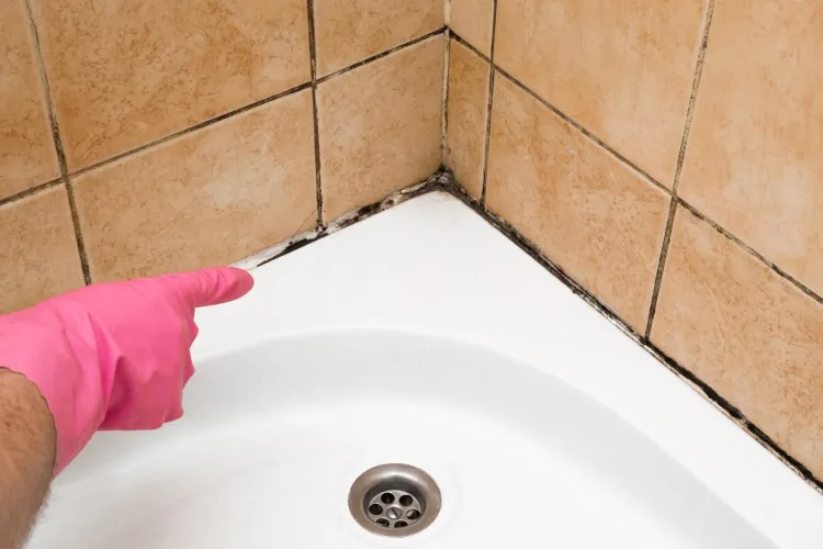 comment éliminer les moisissures dans la salle de bain infections graves nettoyer obligatoirement
