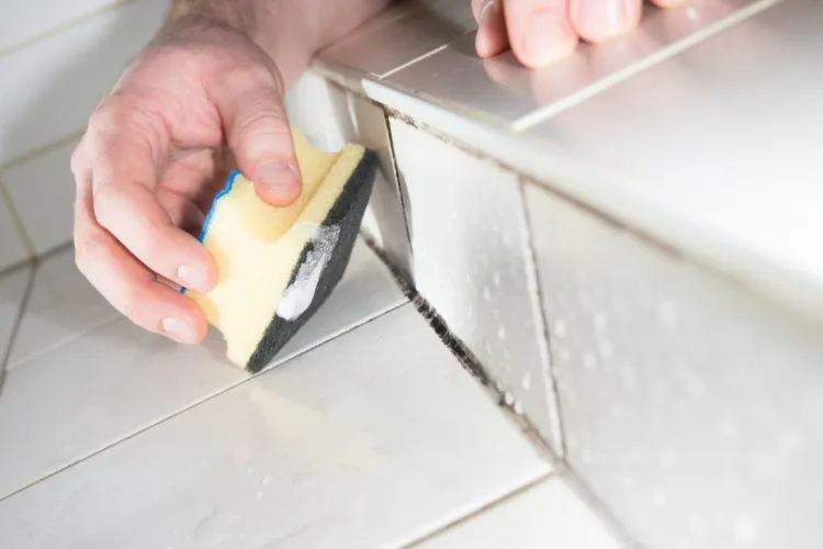 comment éliminer les moisissures dans la salle de bain traiter méthodes mécaniques
