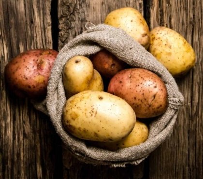 comment empêcher les pommes de terre de germer stocker dans sac jute