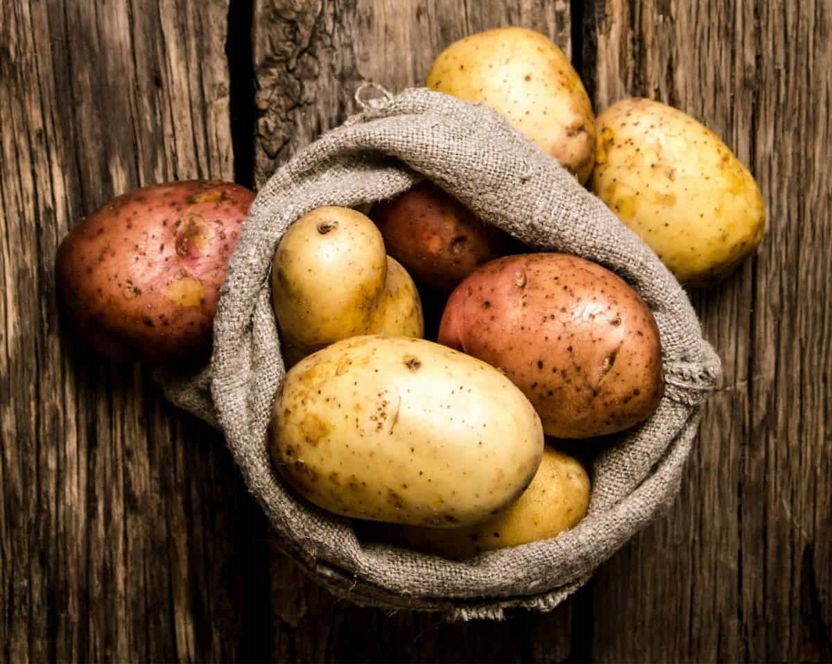 comment empêcher les pommes de terre de germer stocker dans sac jute