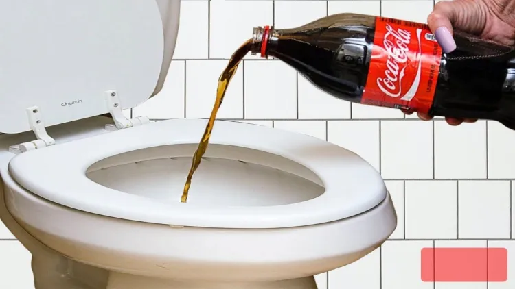 comment nettoyer efficacement le fond des toilettes coca cola abrasif puissant