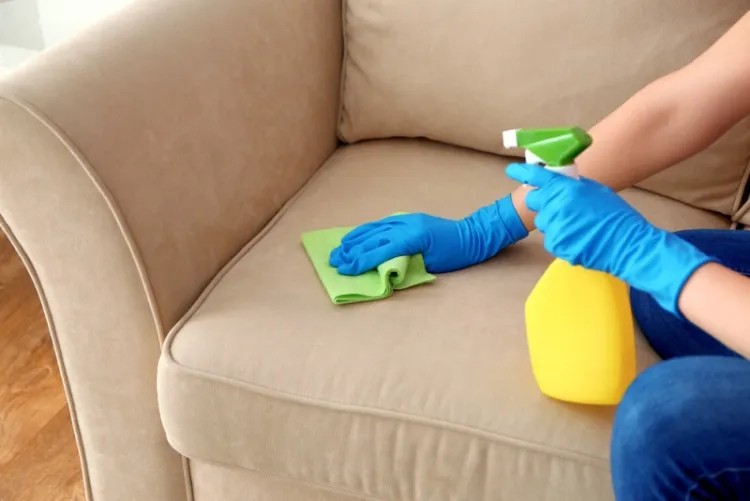 comment nettoyer un canapé en tissu meubles clairs utiliser chiffons brosses clairs