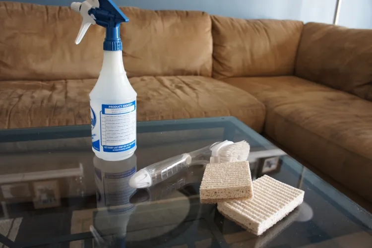 comment nettoyer un canapé en tissu moisissures micro organismes petits insectes