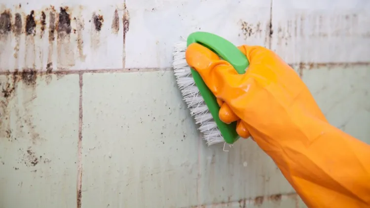 comment se débarrasser des moisissures dans la salle de bain impact sulfate cuivre